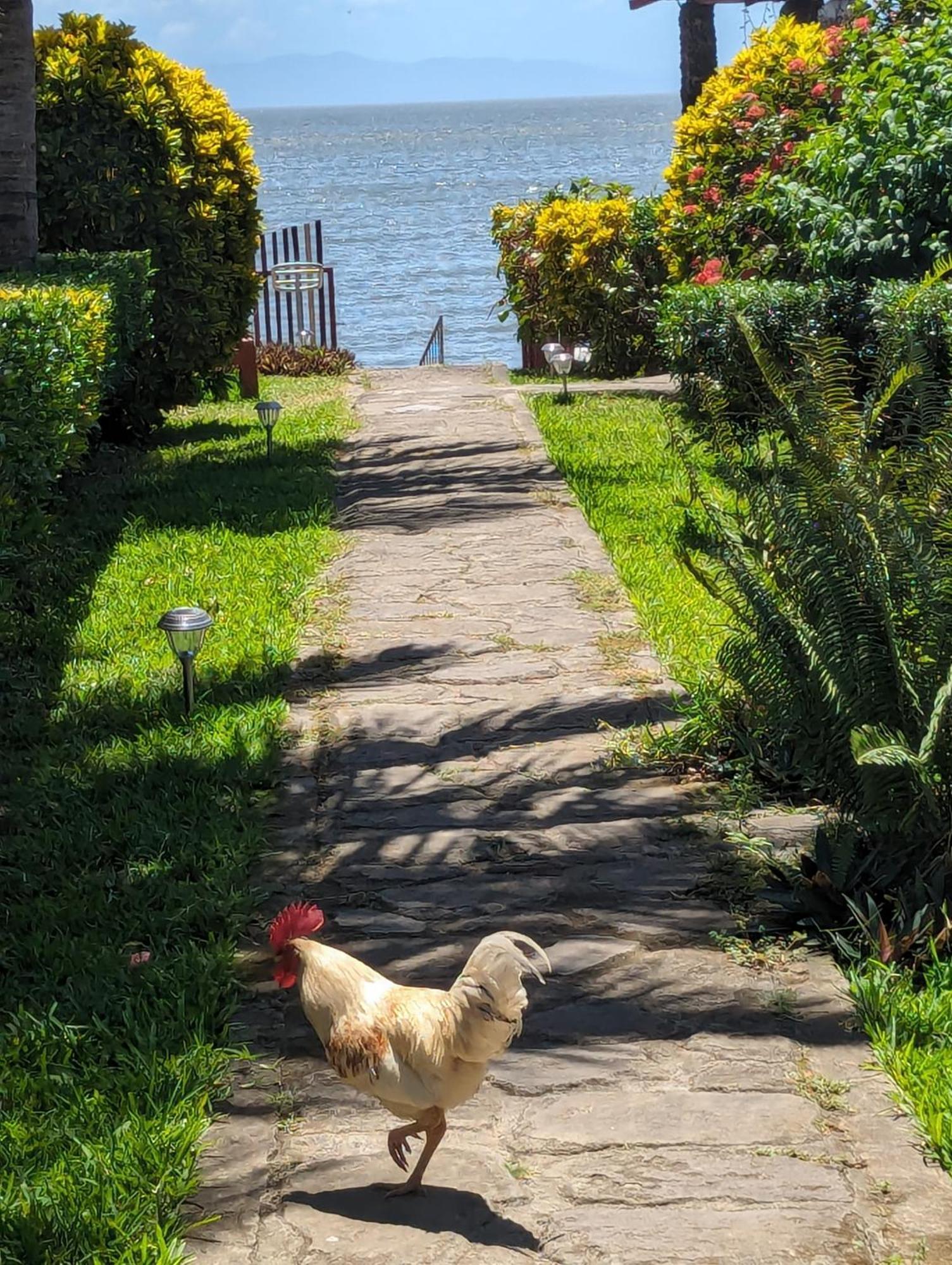 Hotel Playa Santa Martha ริวาส ภายนอก รูปภาพ