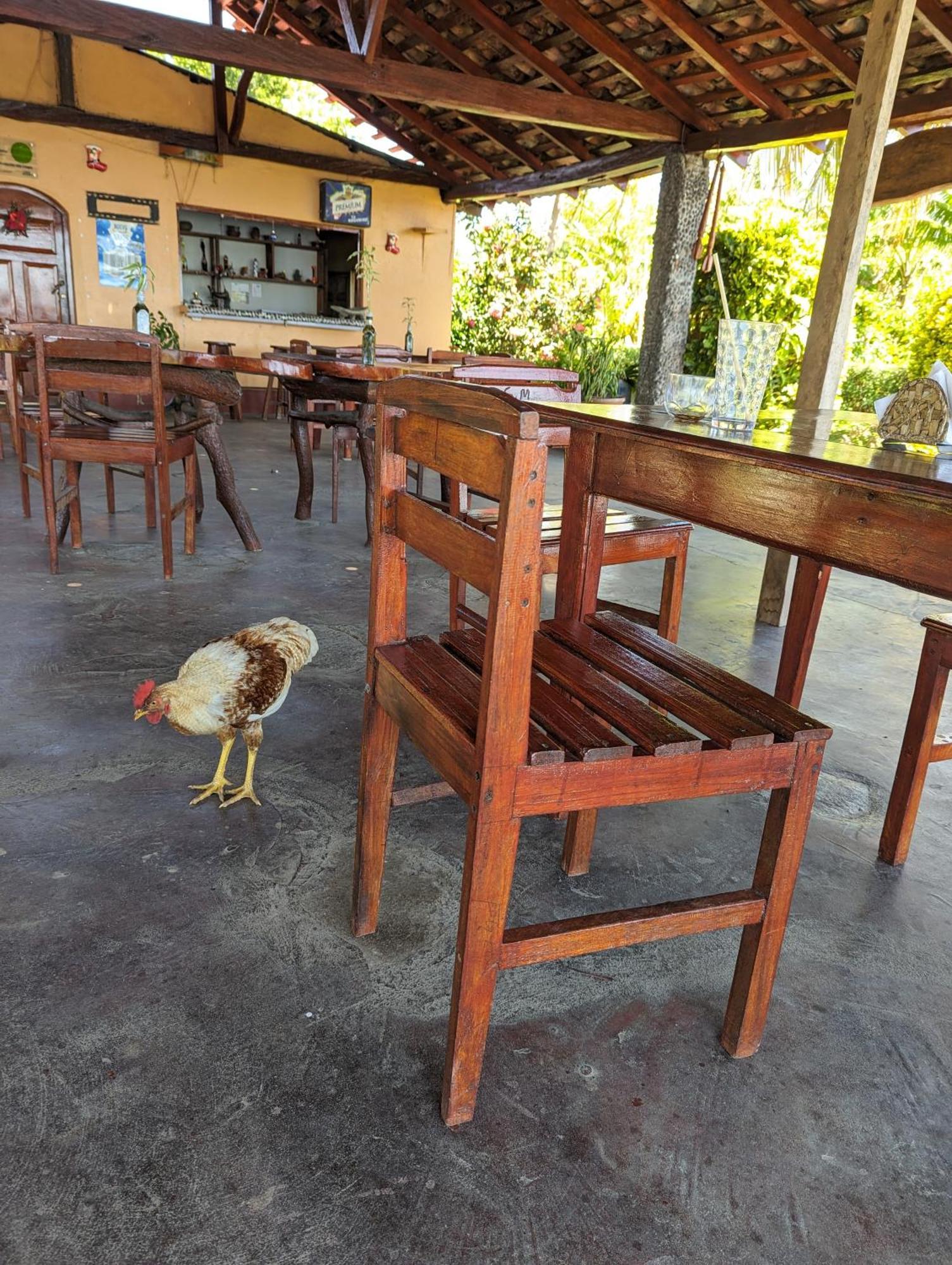 Hotel Playa Santa Martha ริวาส ภายนอก รูปภาพ